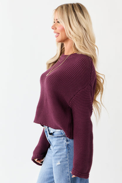 Plum Textured Knit Long Sleeve Crop Sweater